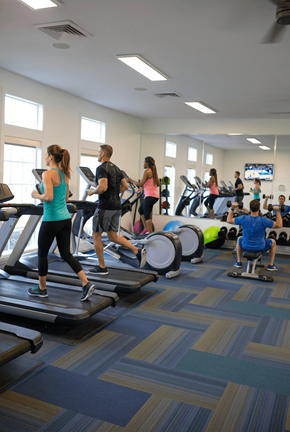 Overland Park apartment for rent - A group of people are exercising on treadmills in a gym.