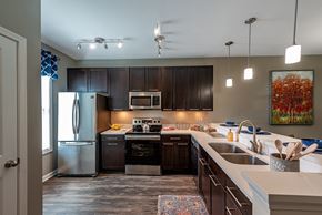 Bluffton apartment for rent - A modern kitchen with dark wood cabinets and stainless steel appliances.
