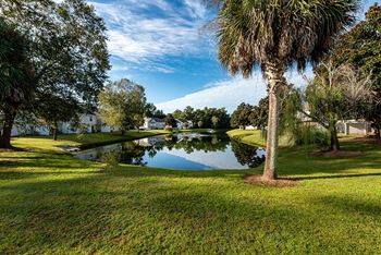 Pond & wooded views