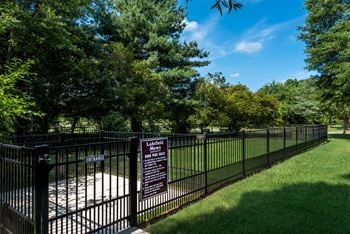 Spacious leash free dog park