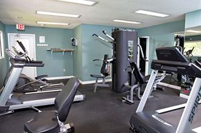 Asheville apartment for rent - a gym with various exercise machines and weights