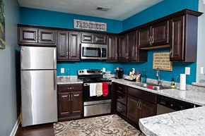 Rock Hill apartment for rent - a kitchen with dark cabinets and a blue wall