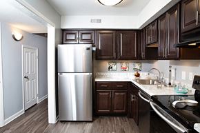 Durham apartment for rent - kitchen with dark cabinets and stainless steel appliances at The Mews in Durham NC