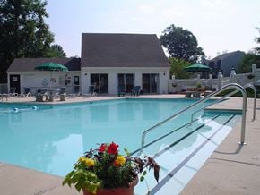 Asheville apartment for rent - A pool with a building in the background and a potted plant in the foreground.