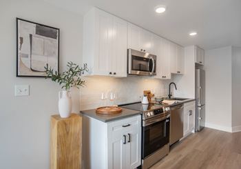 European-style open kitchens