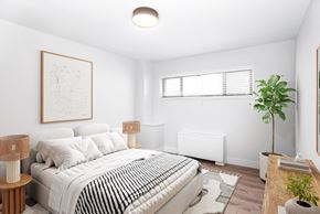 Hyattsville apartment for rent - A bedroom with a large bed and a plant on the side table.