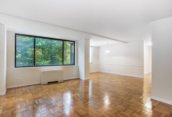 Plate glass windows with slat blinds