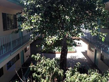 Wilmington apartment for rent - a tree in the middle of a building