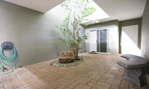 Inglewood apartment for rent - a tree sits in the middle of a room with a tile floor