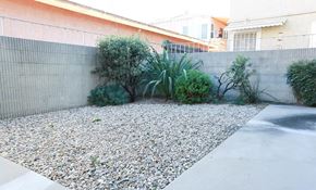 Inglewood apartment for rent - a yard with gravel and plants next to a wall