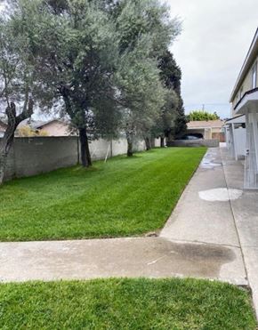 Santa Ana apartment for rent - a yard with grass and trees next to a house