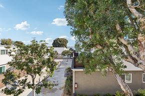 Torrance townhouse for rent - A tree in front of a building with the word