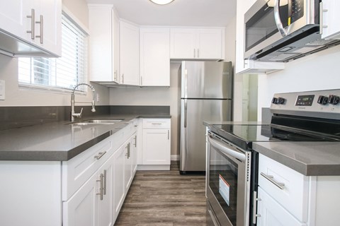 Floor plan for 1 bed, 1 bath
