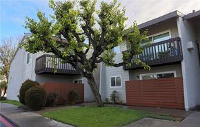 Westminster apartment for rent - A tree in front of a two-story apartment building.