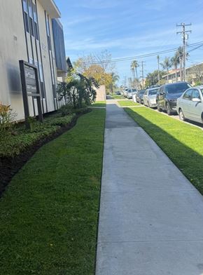 Torrance apartment for rent - A sidewalk runs down the middle of a grassy area.