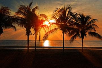 Orange apartment for rent - A beautiful sunset with palm trees silhouetted against the sky.