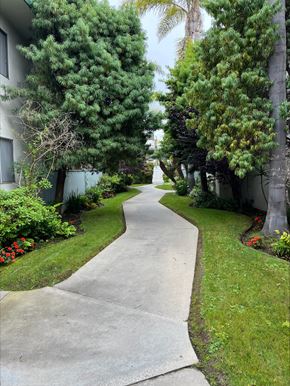 Torrance apartment for rent - a sidewalk between trees and grass in front of a building