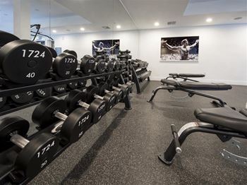 Free weights at the state of the art gym