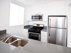 Los Angeles apartment for rent - a kitchen with stainless steel appliances and a sink