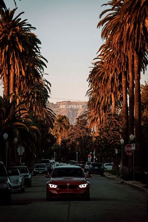 Los Angeles apartment for rent - a red car driving down a street with palm trees