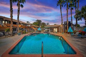 Phoenix apartment for rent - a swimming pool with palm trees in the background