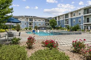 Lone Tree apartment for rent - A pool surrounded by a patio with chairs and umbrellas.