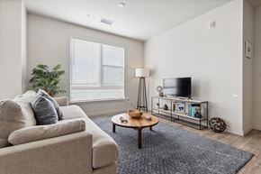 Denver apartment for rent - A living room with a couch, a coffee table, a television, and a plant.