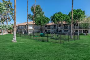 Phoenix apartment for rent - our apartments have a fenced in yard with grass and palm trees