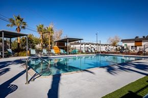 Las Vegas apartment for rent - a swimming pool with lounge chairs and palm trees in the background