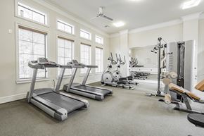 Garland apartment for rent - the gym with treadmills and other fitness equipment and windows