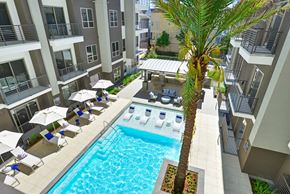Houston apartment for rent - an overhead view of a swimming pool with a palm tree in the middle of it