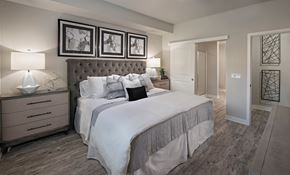 Phoenix apartment for rent - a bedroom with a large bed and a closet