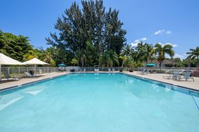 Stuart apartment for rent - A large swimming pool surrounded by trees and sun loungers.