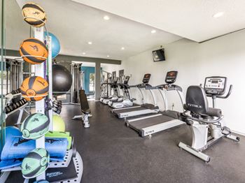 Fully equipped fitness center