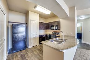 Waco apartment for rent - a kitchen with a sink and a refrigerator