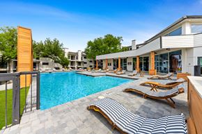 Dallas apartment for rent - take a dip in the resort style pool