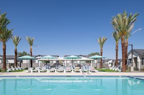 Prescott Valley apartment for rent - A swimming pool surrounded by palm trees and sun loungers.
