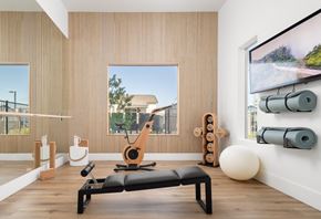 Gilbert apartment for rent - A gym room with a row of exercise balls and a row of foam rollers on the wall.