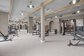 Buda apartment for rent - A gym with a variety of equipment including a rowing machine, a leg press machine, and a weight bench.
