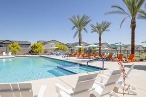 Phoenix apartment for rent - A pool surrounded by palm trees and lounge chairs.