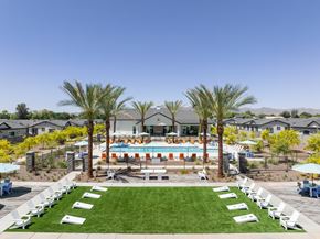 Litchfield Park apartment for rent - A pool surrounded by palm trees and lounge chairs.