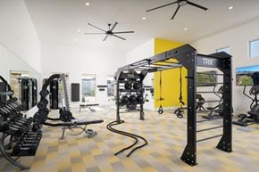 Phoenix apartment for rent - A gym with TRX equipment and a yellow wall.