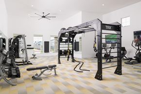 Queen Creek apartment for rent - A TRX suspension trainer is hanging from the ceiling in a gym.