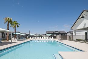 Queen Creek apartment for rent - A large swimming pool surrounded by lounge chairs and umbrellas.
