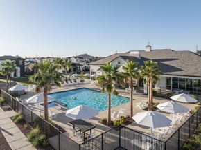 Buckeye apartment for rent - A pool surrounded by palm trees and umbrellas.