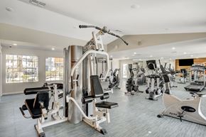 Henderson apartment for rent - the gym at the enclave at woodbridge apartments in sugar land, tx