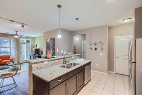 Atlanta apartment for rent - A kitchen with a sink, refrigerator, and a counter with a bowl on it.