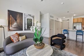 Georgetown apartment for rent - A grey couch with a pillow and a flower pot on a table in a room.