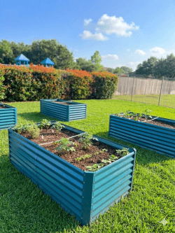 Community garden