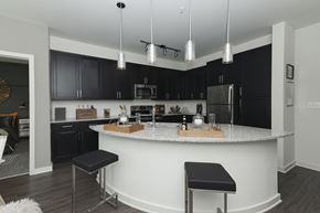 Covington apartment for rent - Kitchen with island